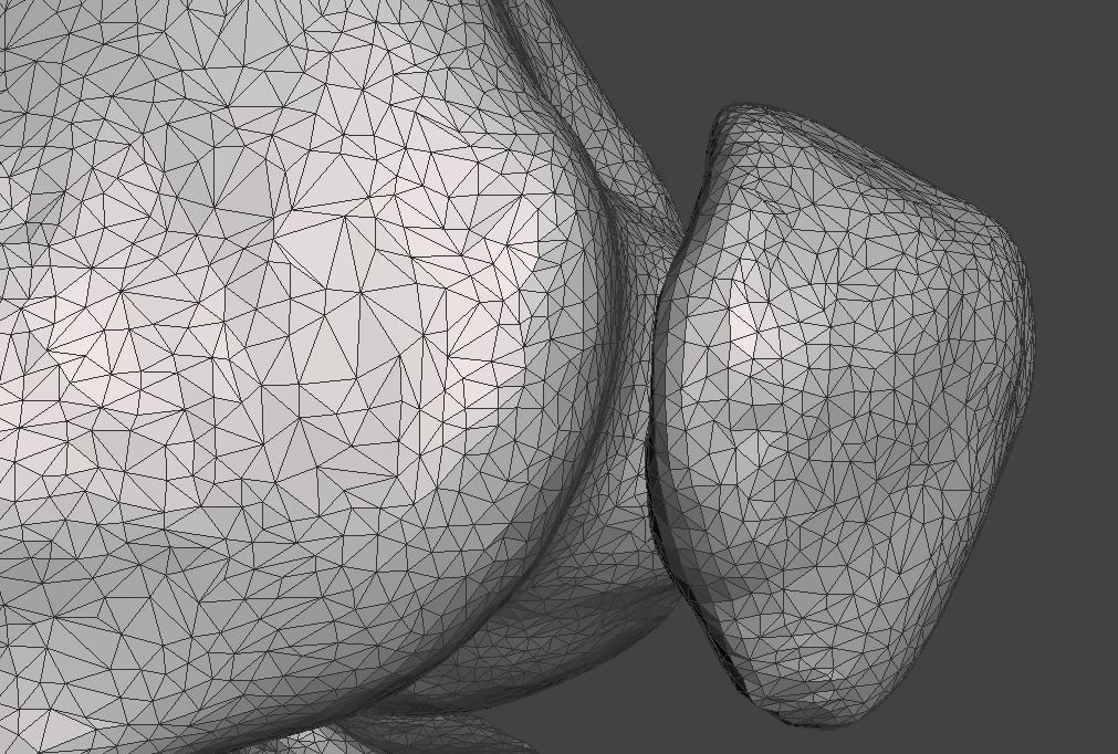 Right knee joint - female 3D model 3D model_32