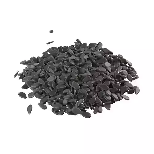 sesame seed black pile   Low-poly 3D model