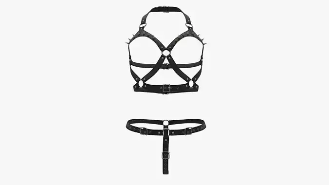 Punk Harness 01
