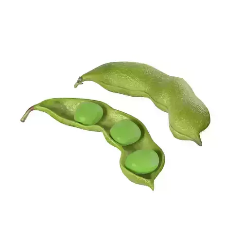 Soybean green pod
