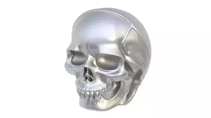 Furniture handle skull 01
