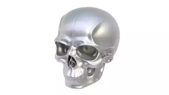 Furniture handle skull 02
