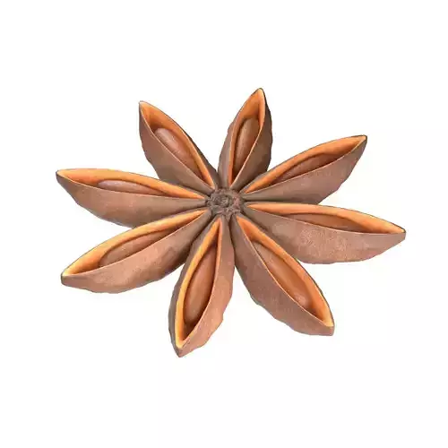 Star Anise 