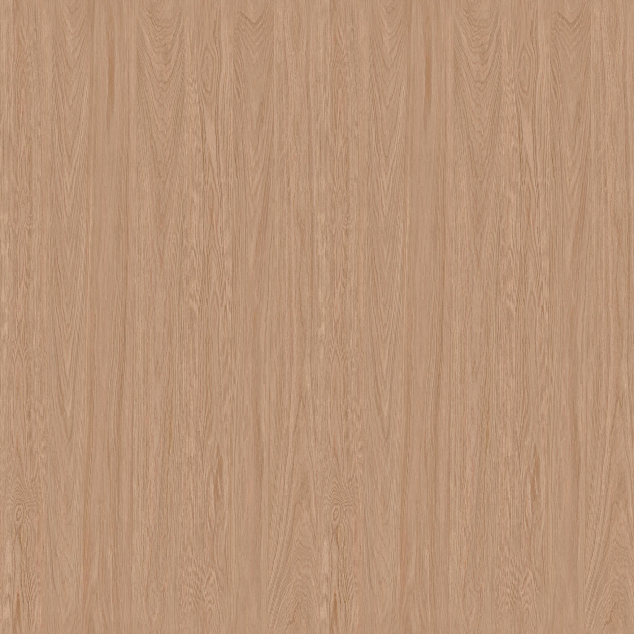 Royal Aircraft Factory SE5 3D model_20