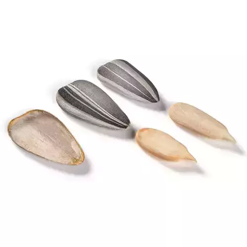 Striped sunflower seeds 