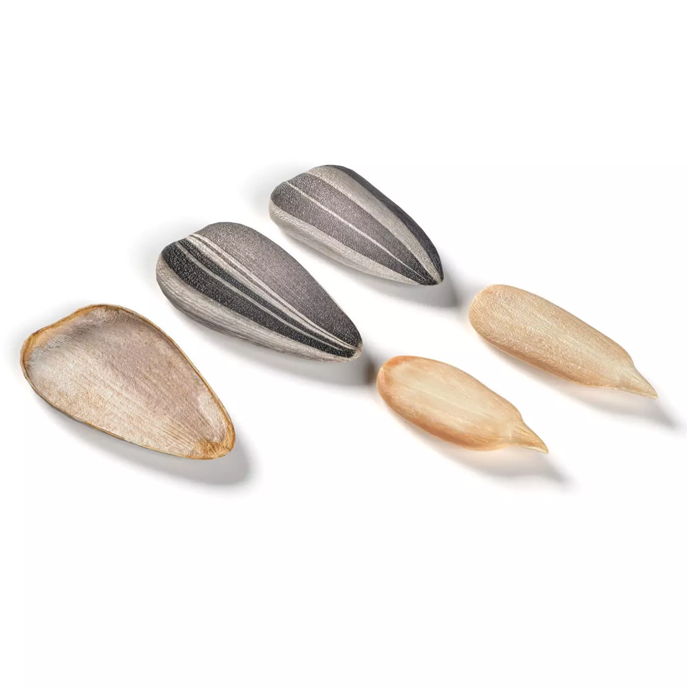 Striped sunflower seeds Low-poly 3D model