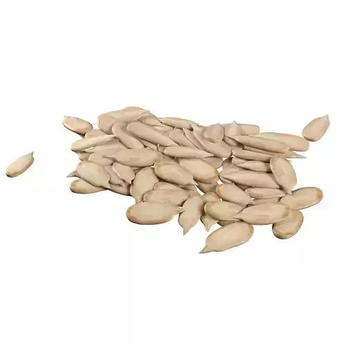 Sunflower seed pile v1