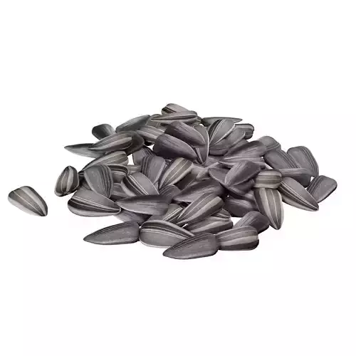 Sunflower seed pile v2  