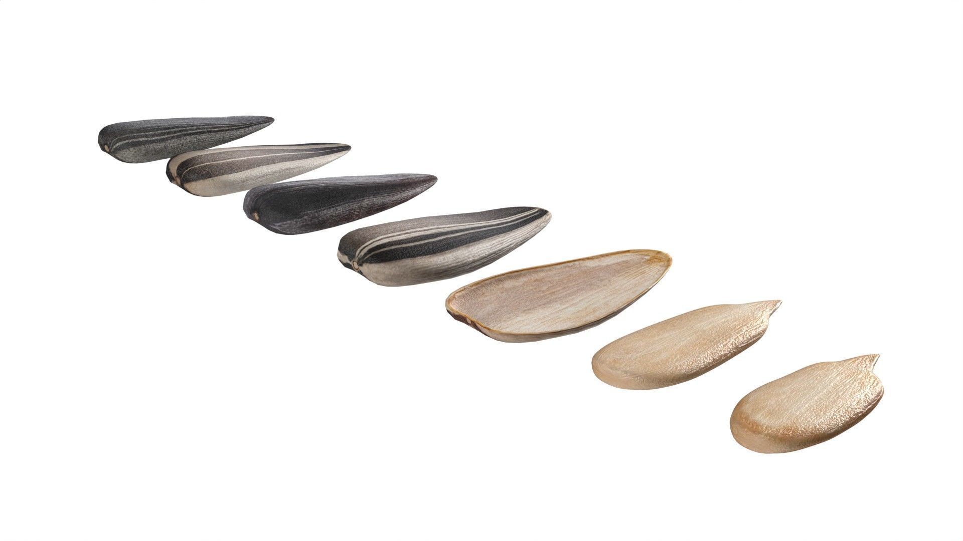 Sunflower seeds collection  Low-poly 3D model_6