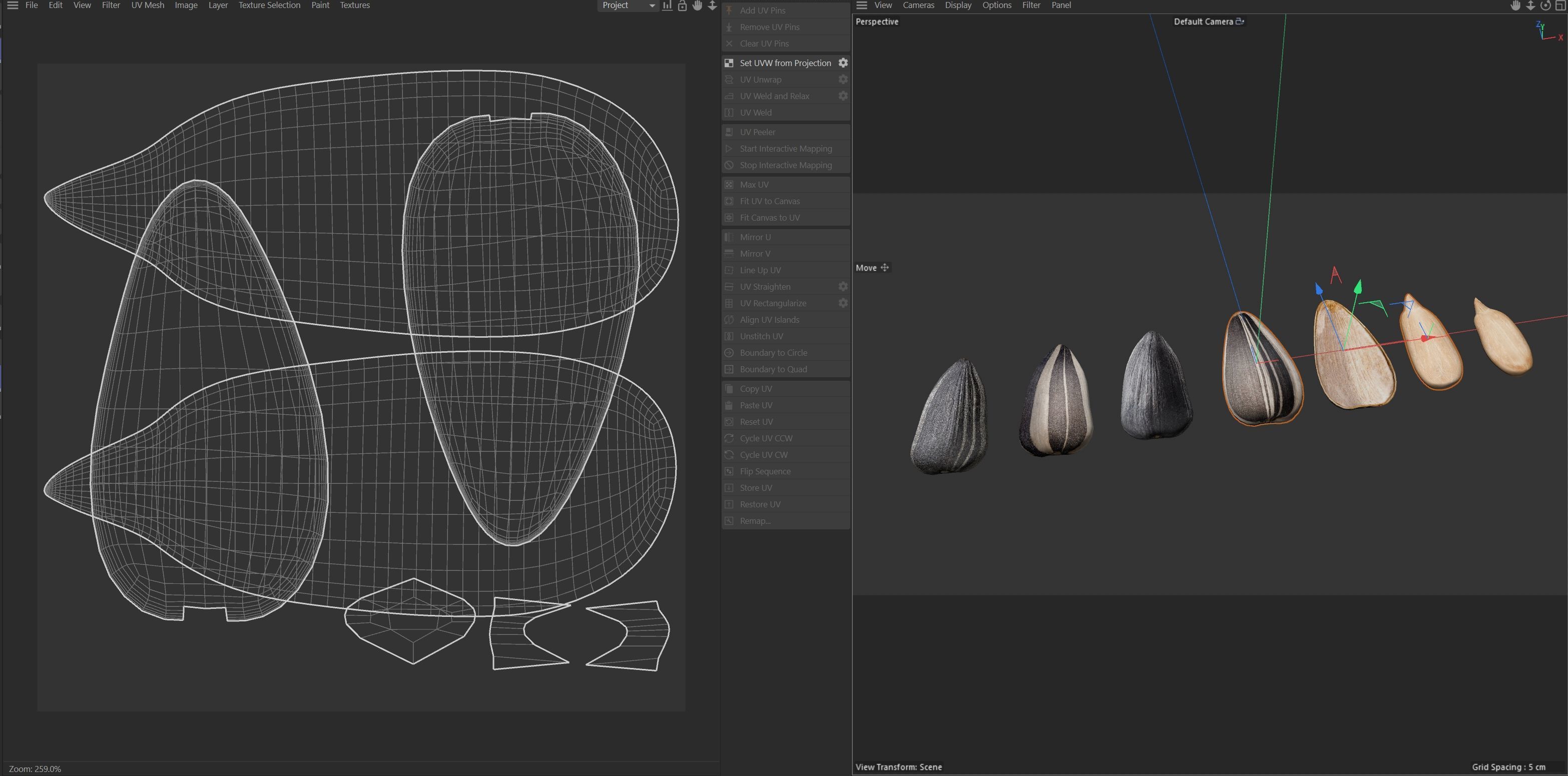 Sunflower seeds collection  Low-poly 3D model_8