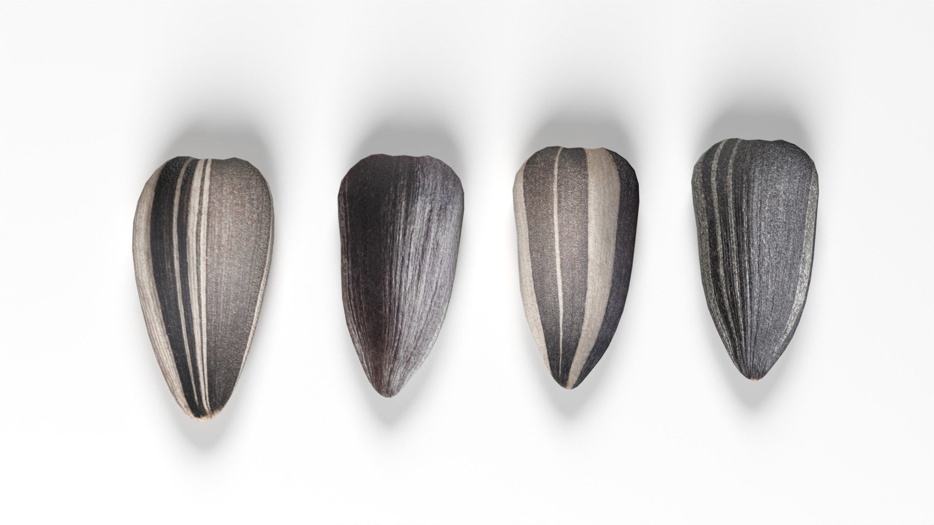 Sunflower seeds collection  Low-poly 3D model_4