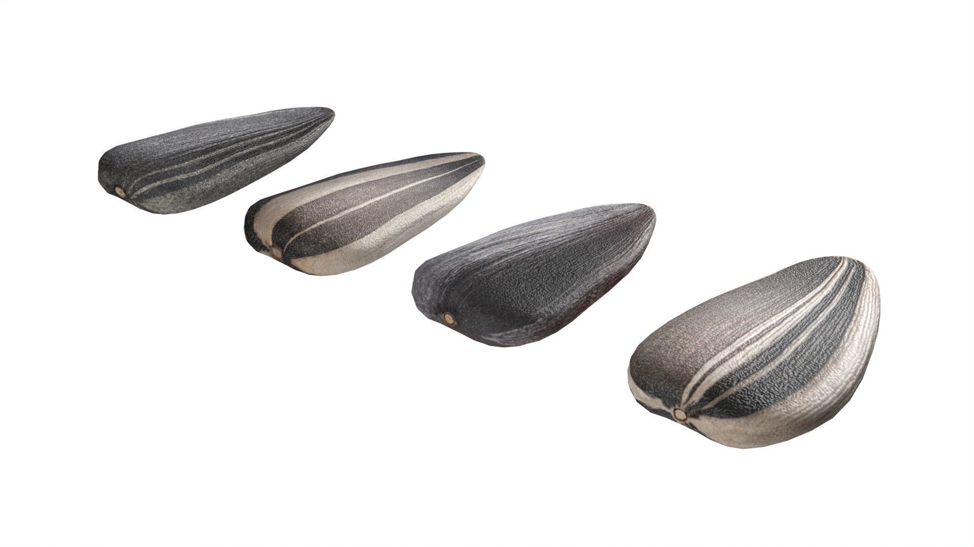 Sunflower seeds collection  Low-poly 3D model_5