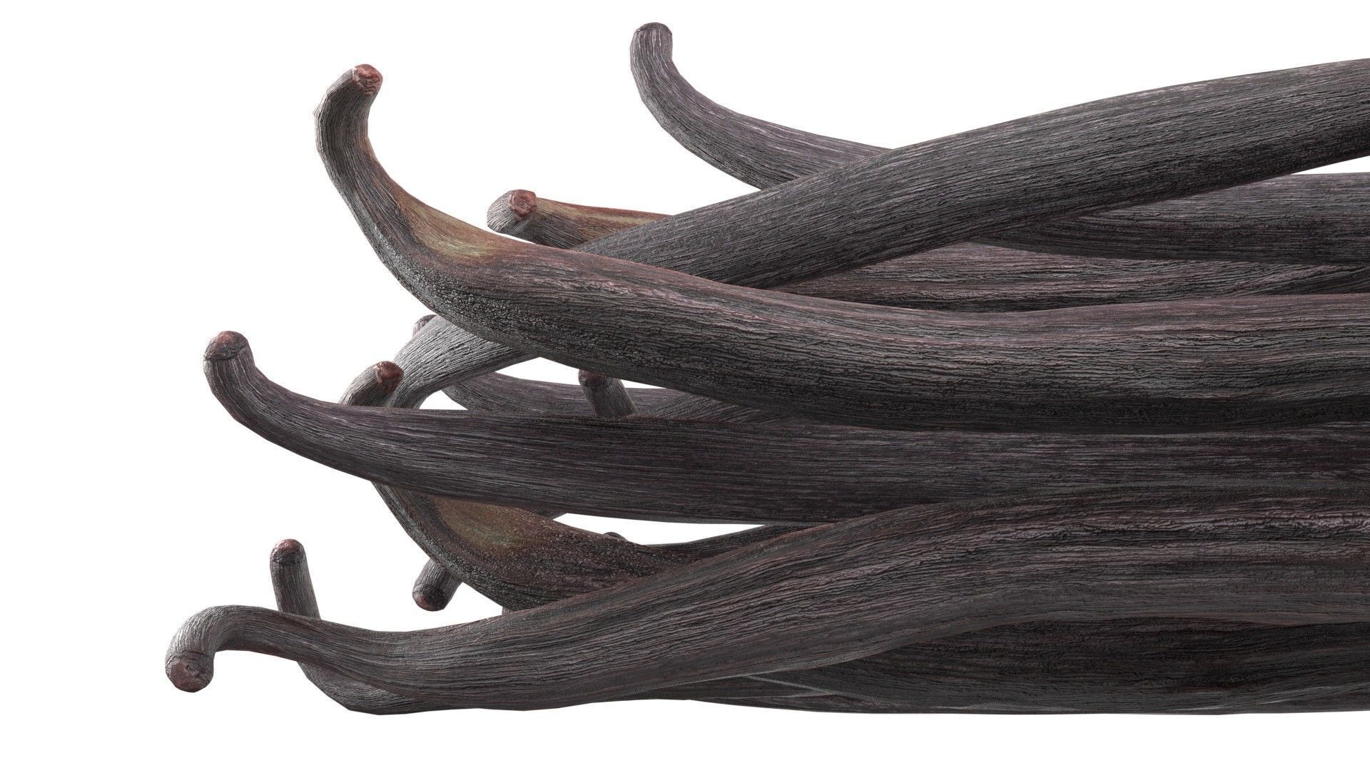 Vanilla Sticks Bunch pile  Low-poly 3D model_5