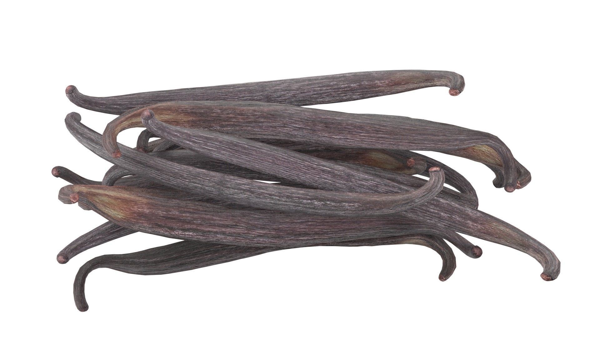 Vanilla Sticks Bunch pile  Low-poly 3D model_3