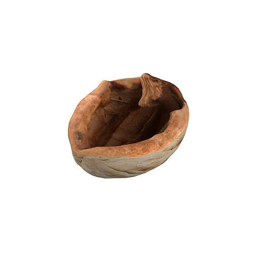 Walnut shell  Free low-poly 3D model
