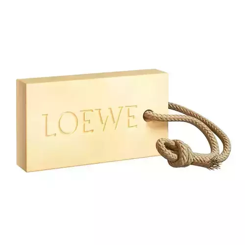 Oregano Large Bar Soap by Loewe 3D model