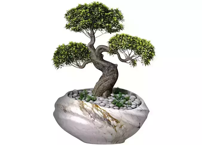 Decorative Bonsai Tree in Marble Flowerpot Vase Urn Pot