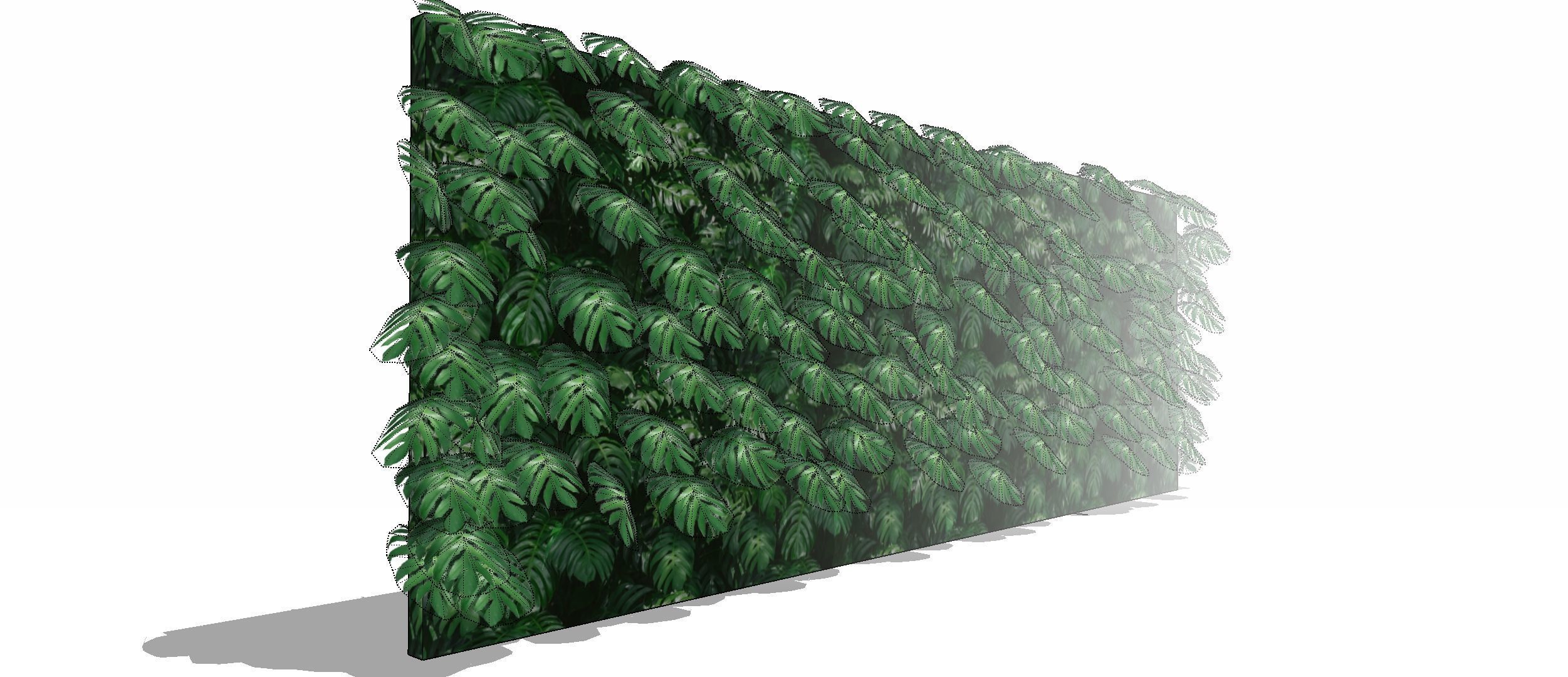 Lowpoly Epipremnum pinnatum 3d sketchup model  3D model_4