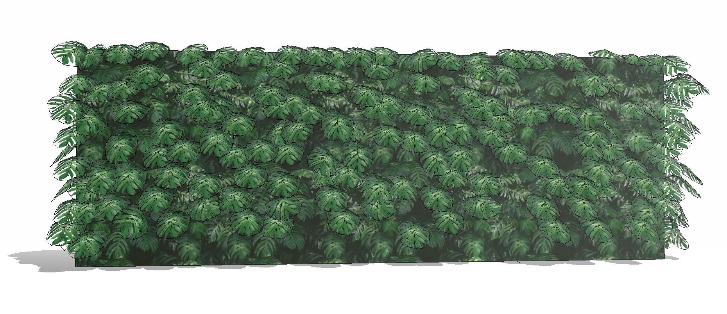 Lowpoly Epipremnum pinnatum 3d sketchup model  3D model_5