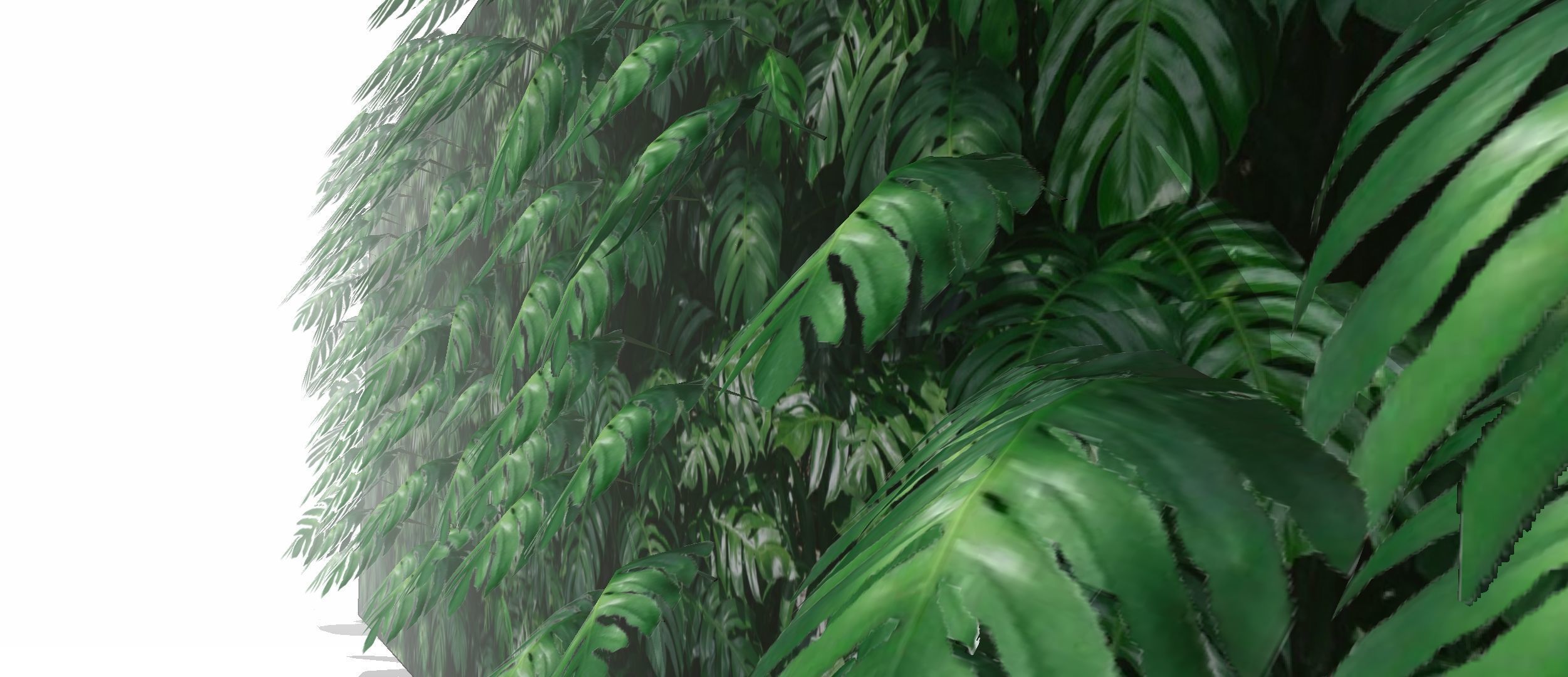 Lowpoly Epipremnum pinnatum 3d sketchup model  3D model_8