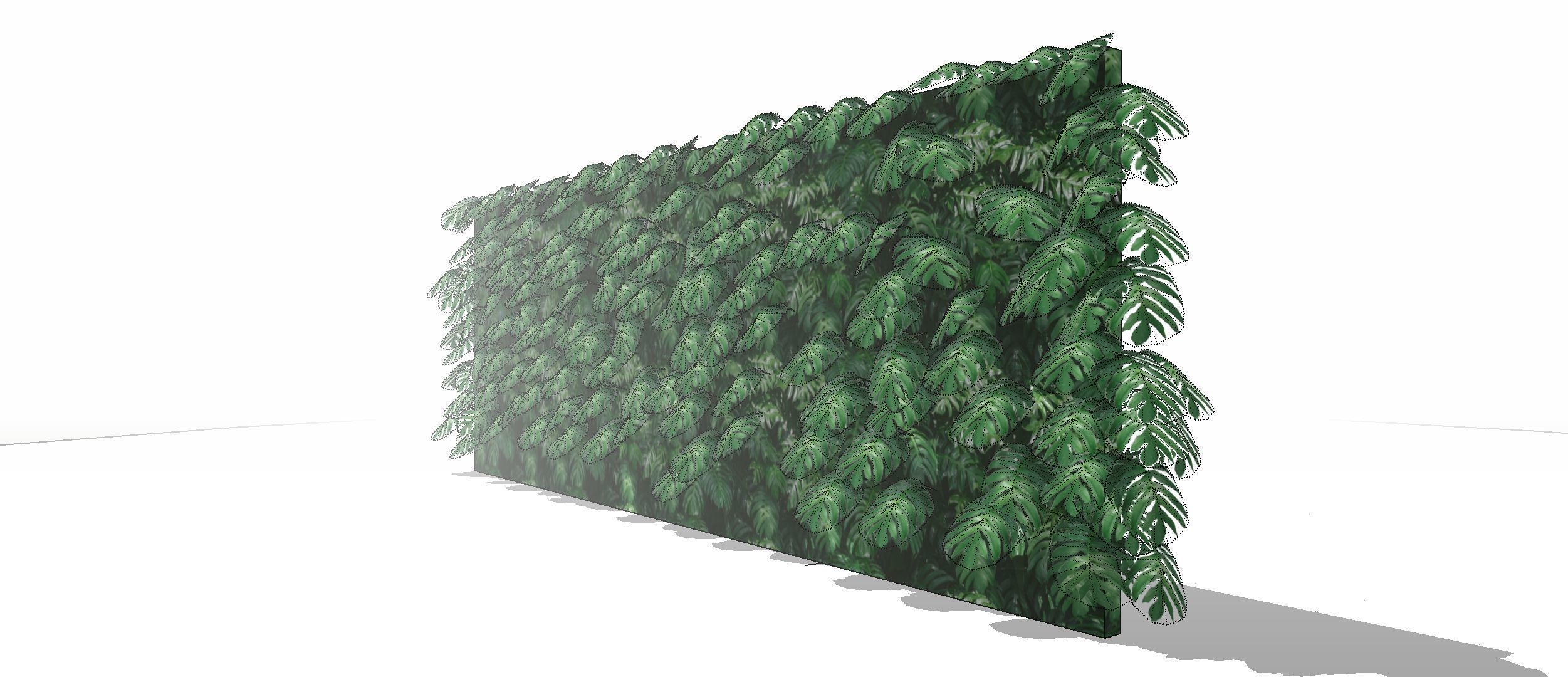 Lowpoly Epipremnum pinnatum 3d sketchup model  3D model_7