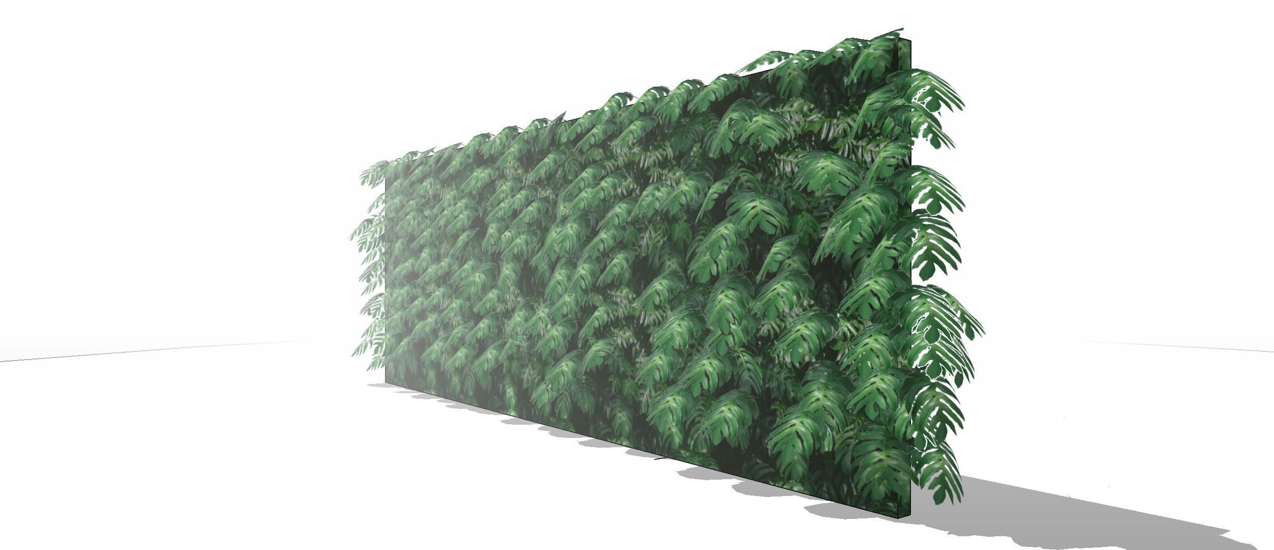 Lowpoly Epipremnum pinnatum 3d sketchup model  3D model_3