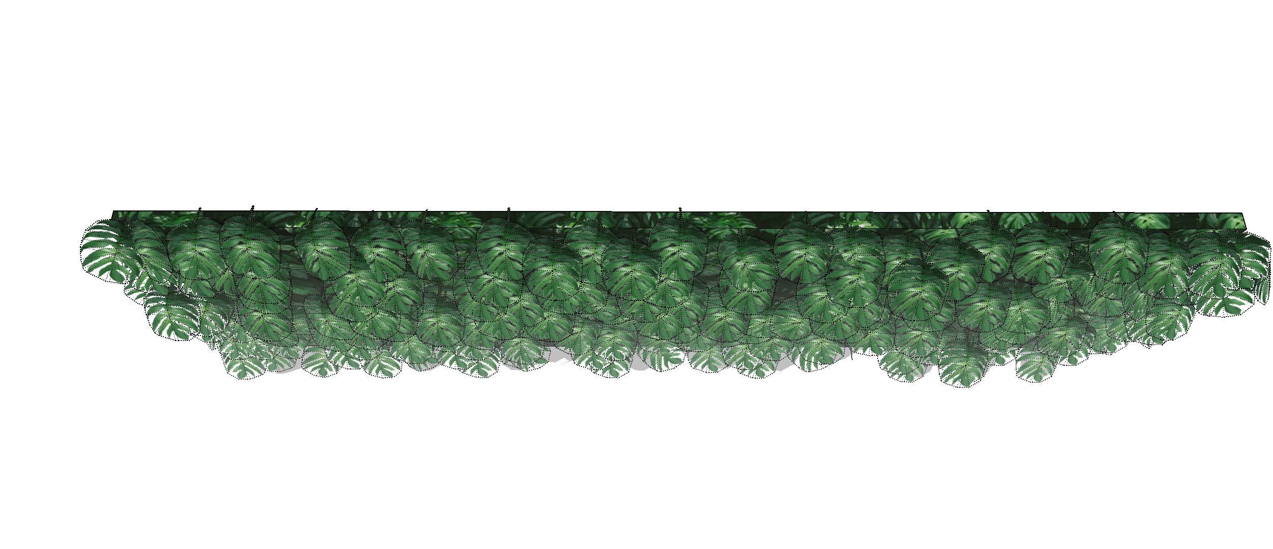 Lowpoly Epipremnum pinnatum 3d sketchup model  3D model_9