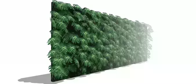 Lowpoly Epipremnum pinnatum 3d sketchup model 