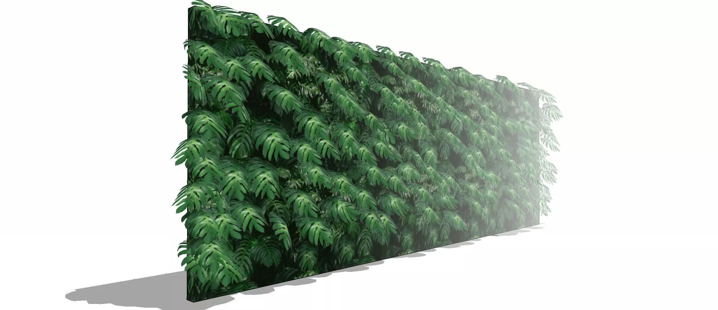 Lowpoly Epipremnum pinnatum 3d sketchup model  3D model_0