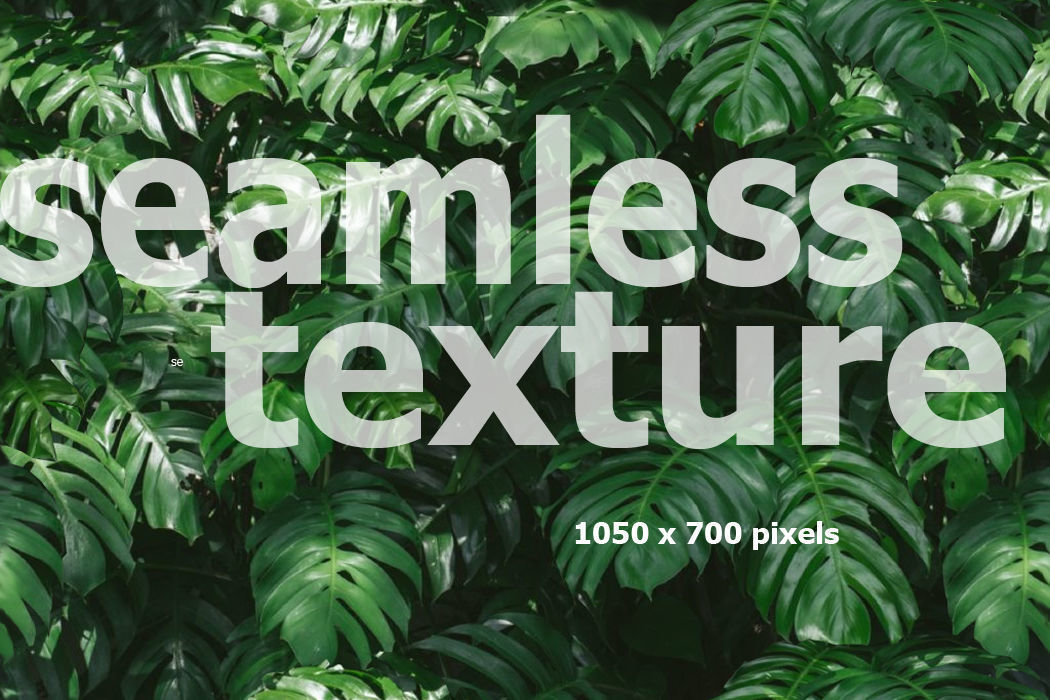 Lowpoly Epipremnum pinnatum 3d sketchup model  3D model_6