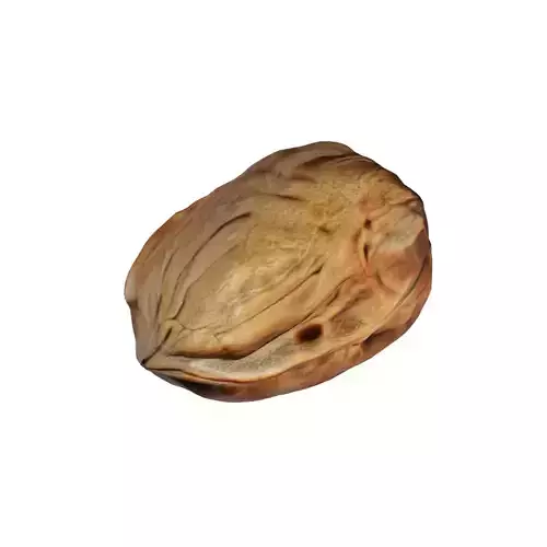Walnut v2  