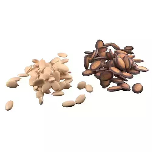 Watermelon seed Pile 