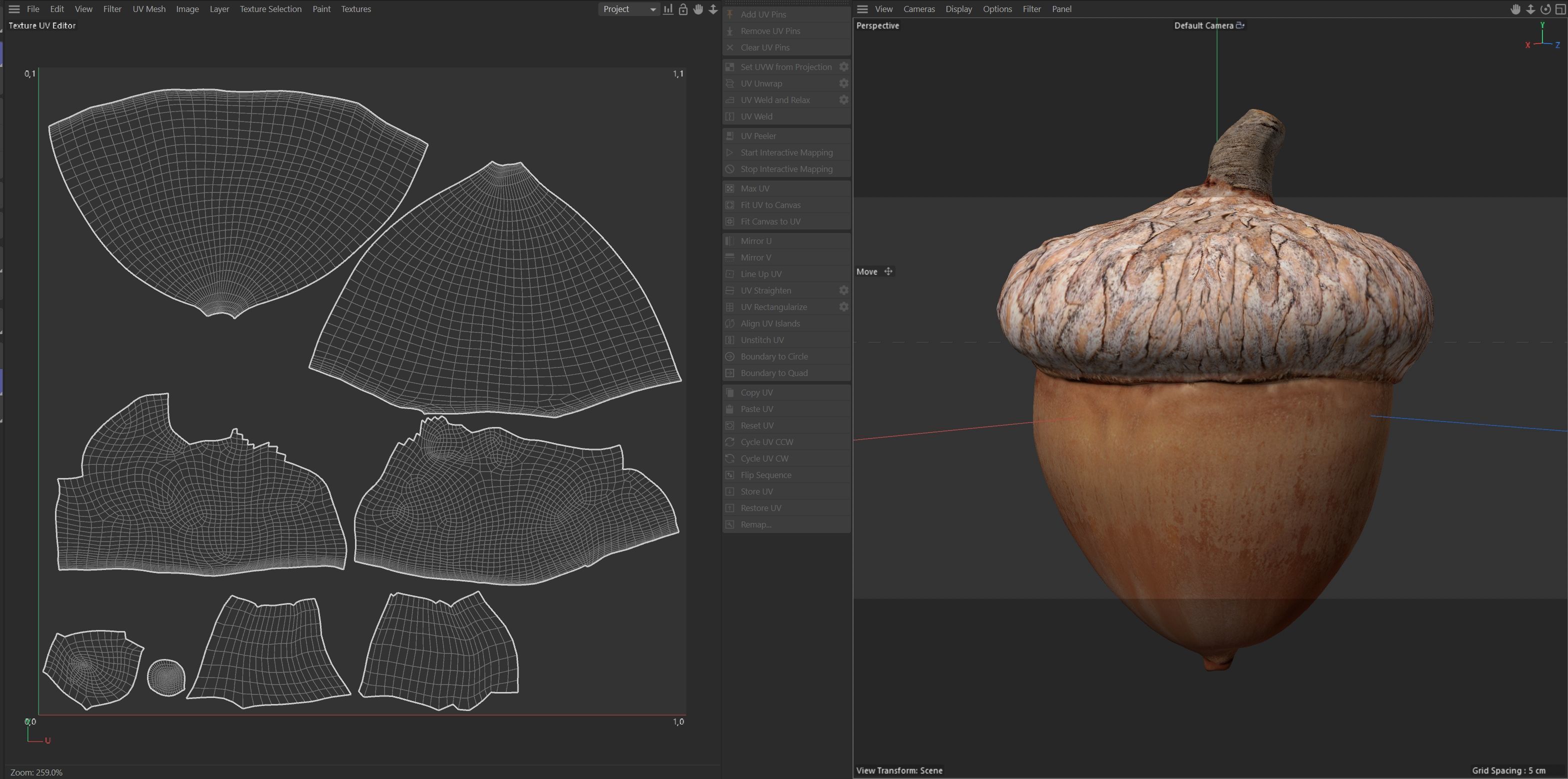 Acorn  Low-poly 3D model_7