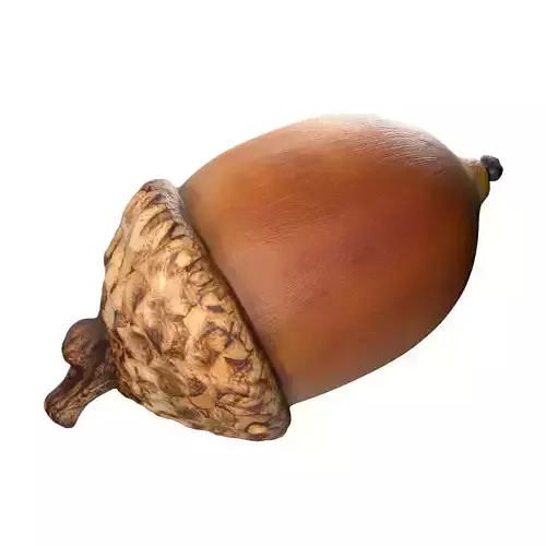 Acorn v3 