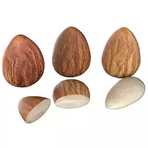 Almond   Low-poly 3D model
