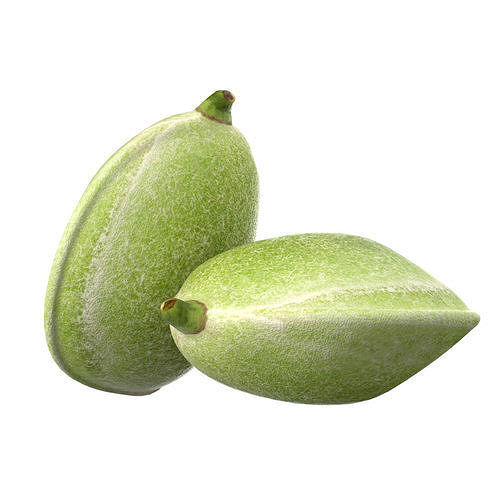 Almond green  Low-poly 3D model