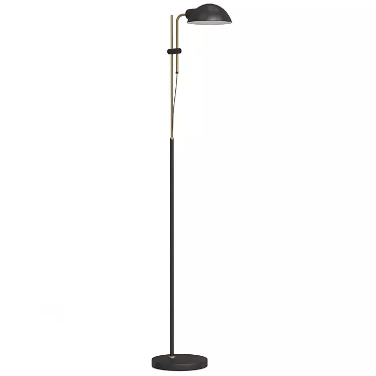 Contemporary Black  Gold Floor Lamp 3D Model 3D model_0