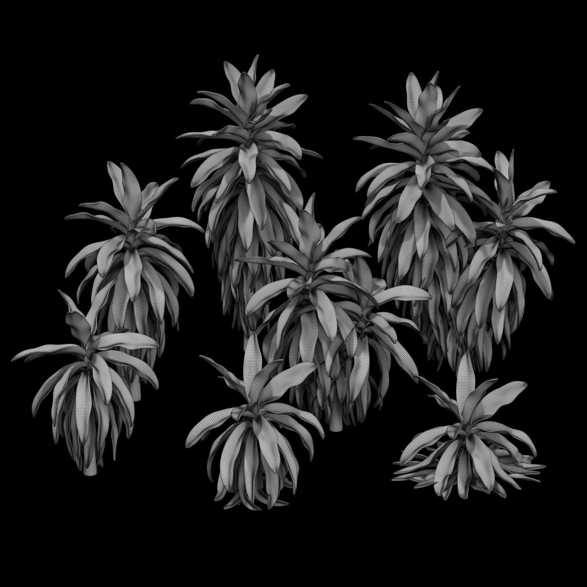 3dprint Plant 06 3D print model_6