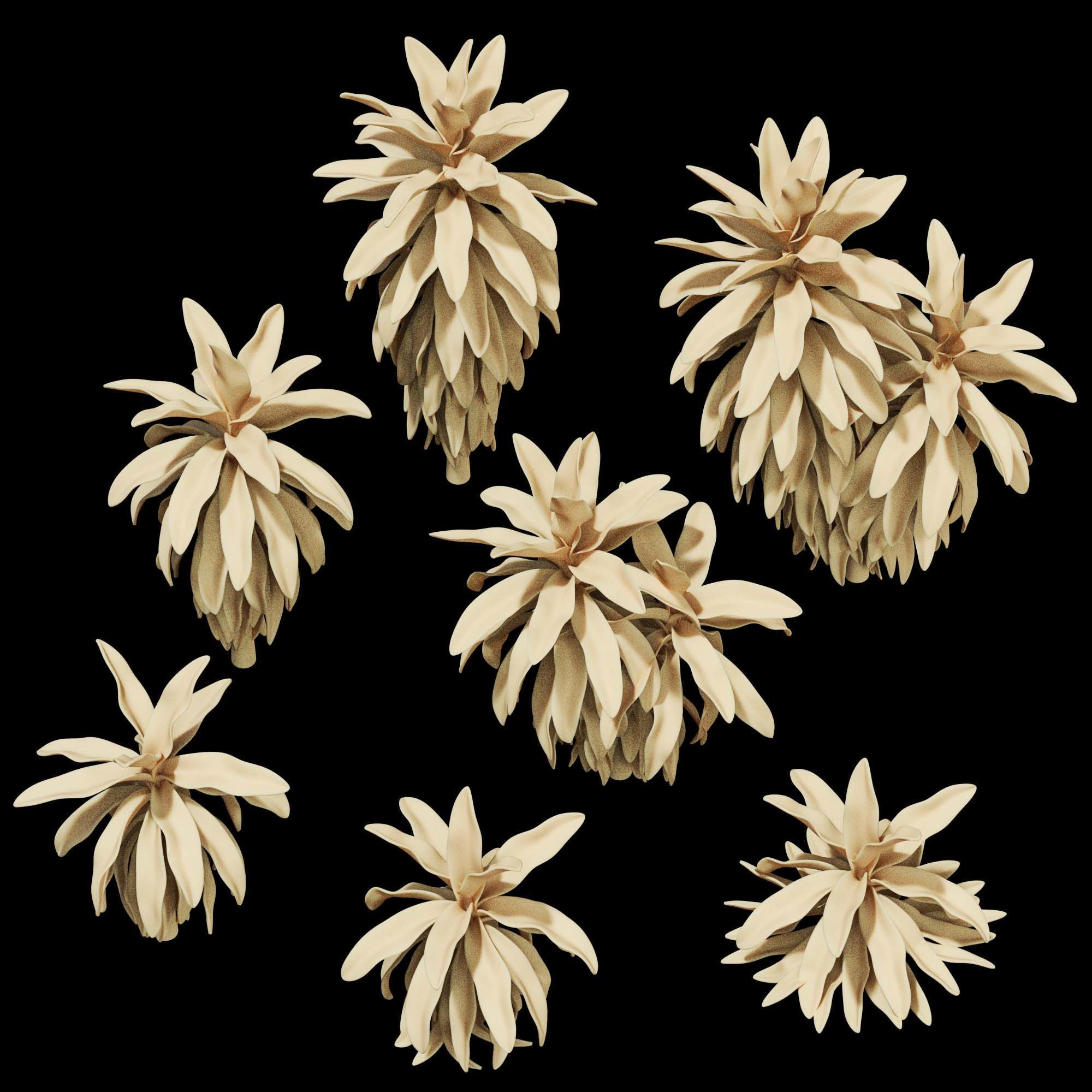 3dprint Plant 06 3D print model_3