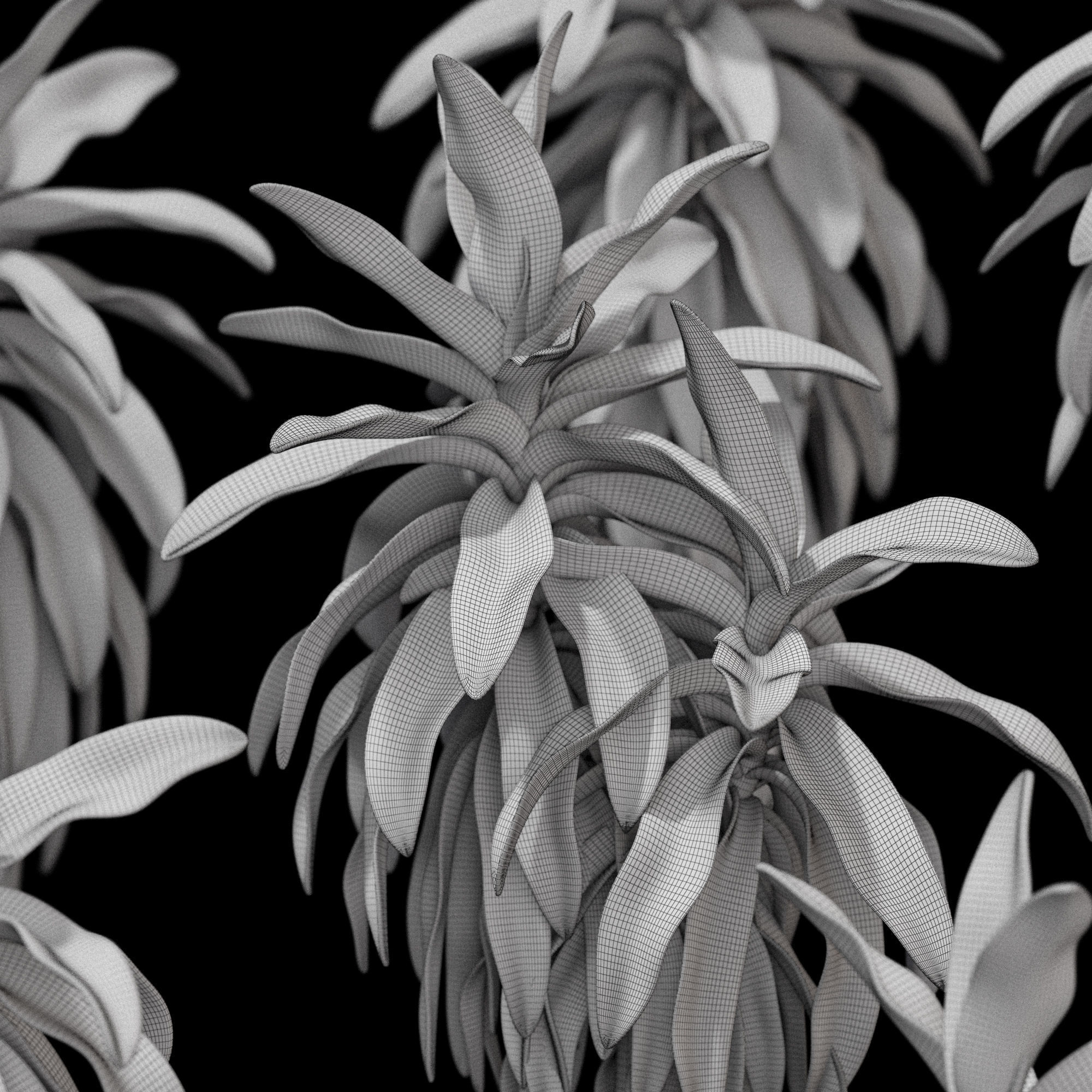 3dprint Plant 06 3D print model_7