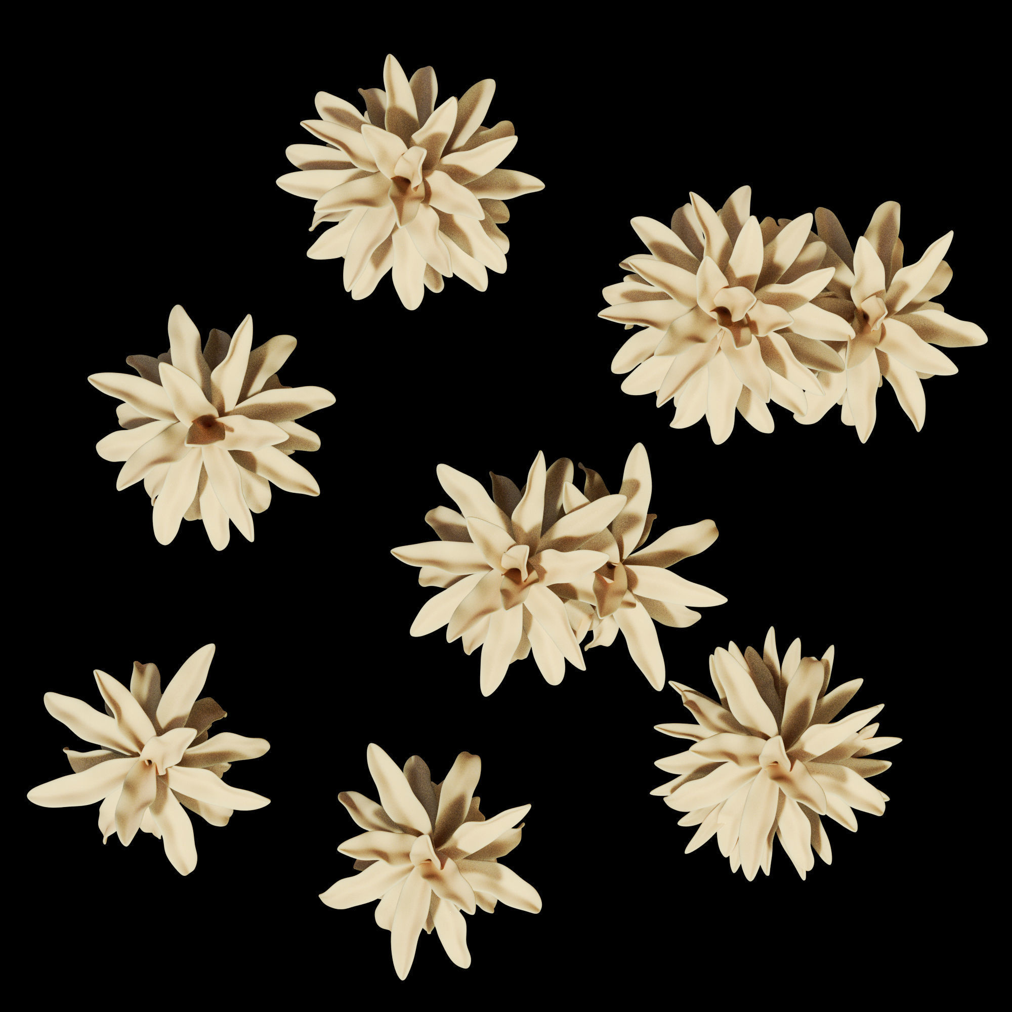 3dprint Plant 06 3D print model_4