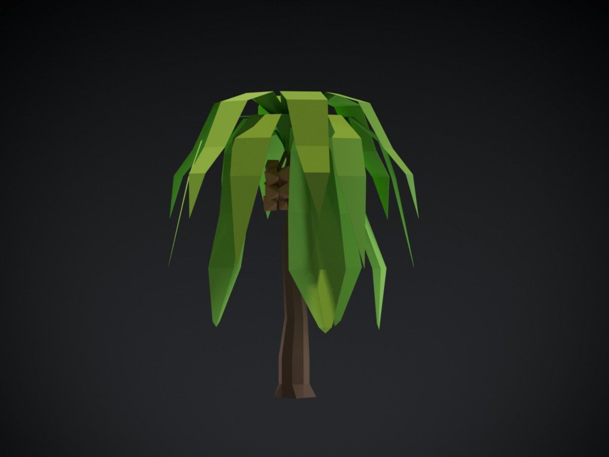 Coconut Tree Low-poly 3D model_4