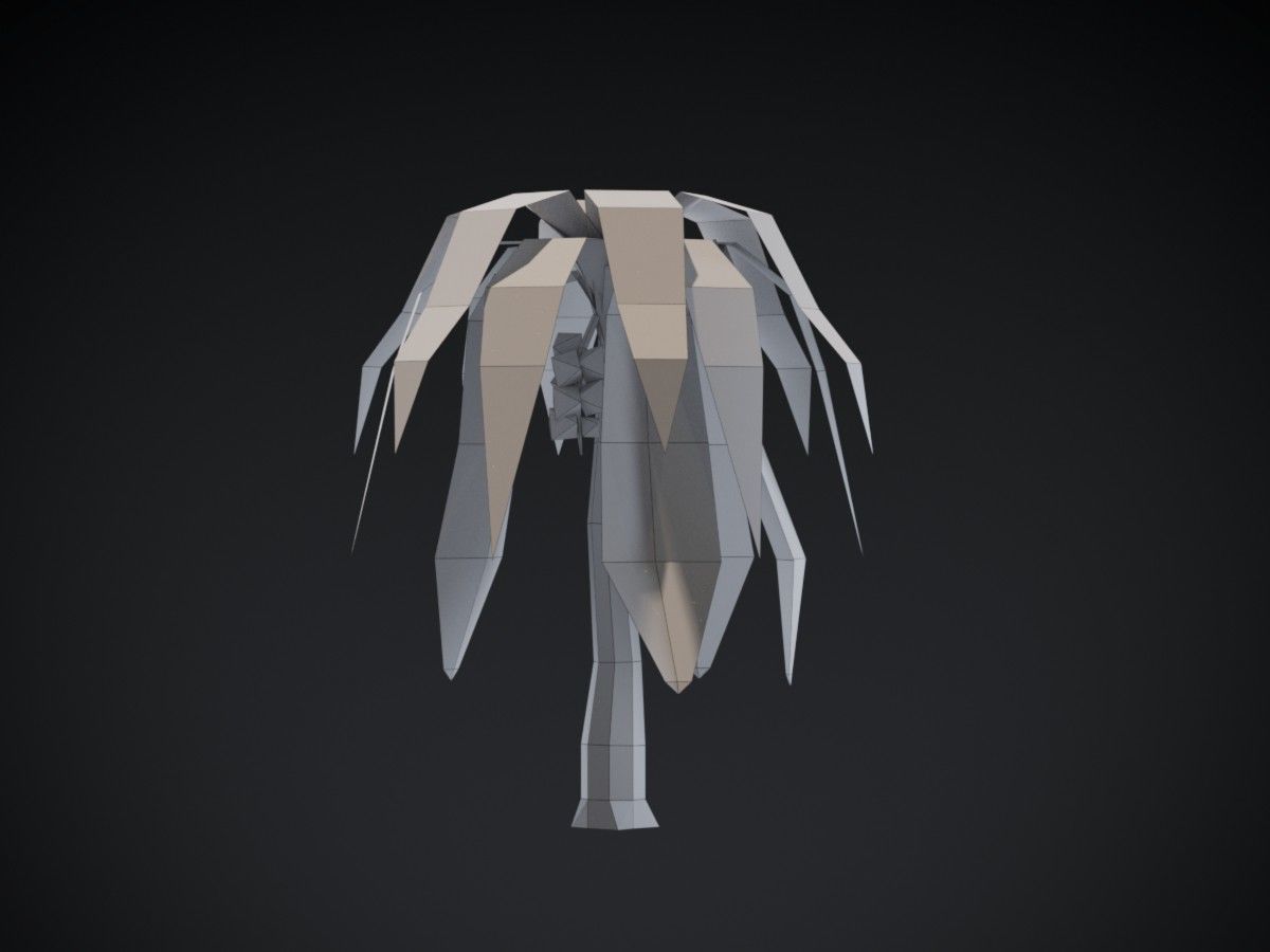 Coconut Tree Low-poly 3D model_5