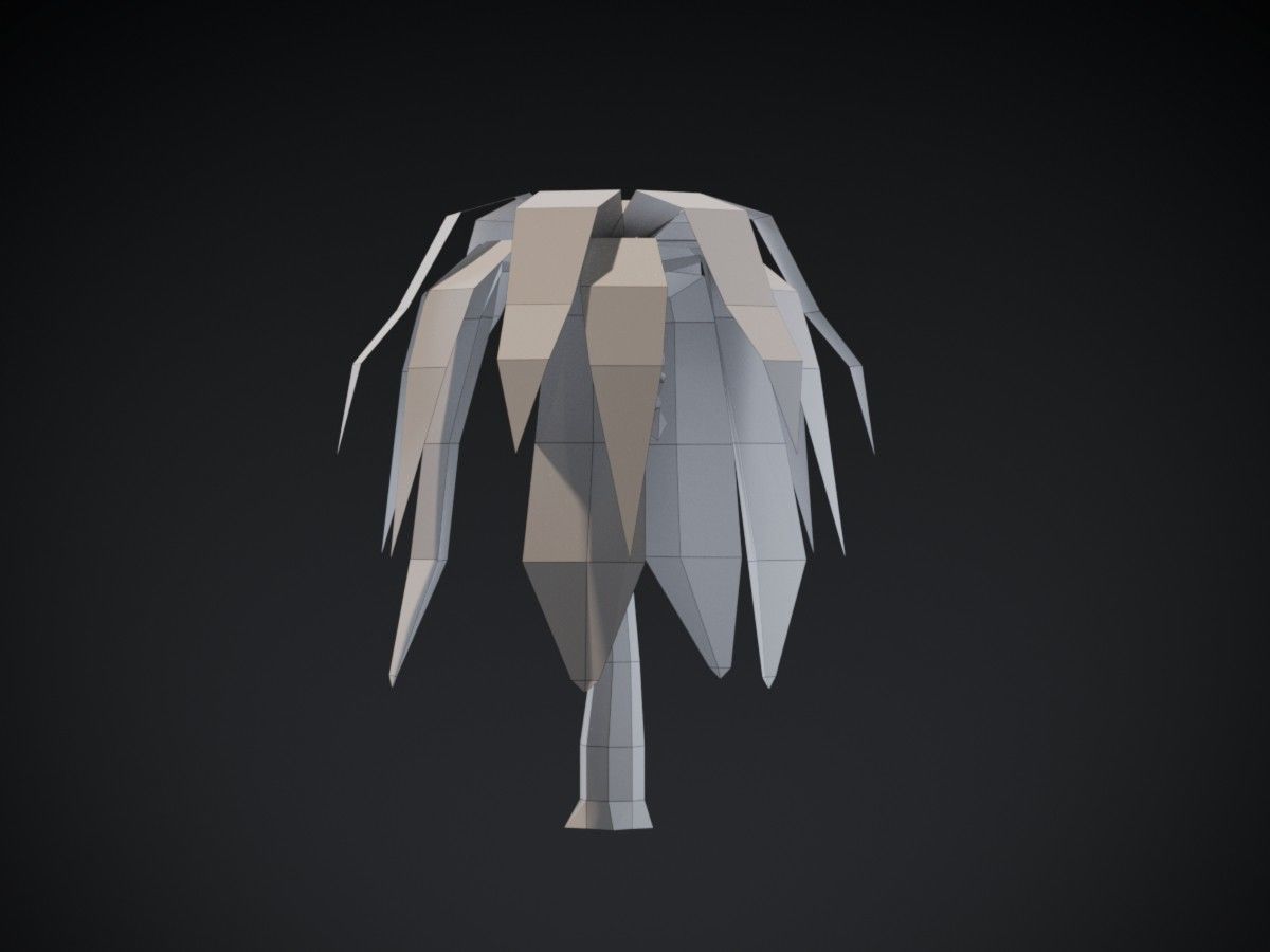 Coconut Tree Low-poly 3D model_3