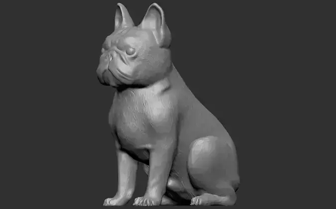 French Bulldog