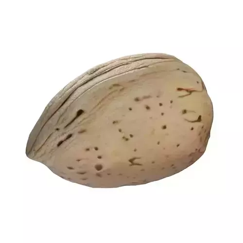 Almond shell 