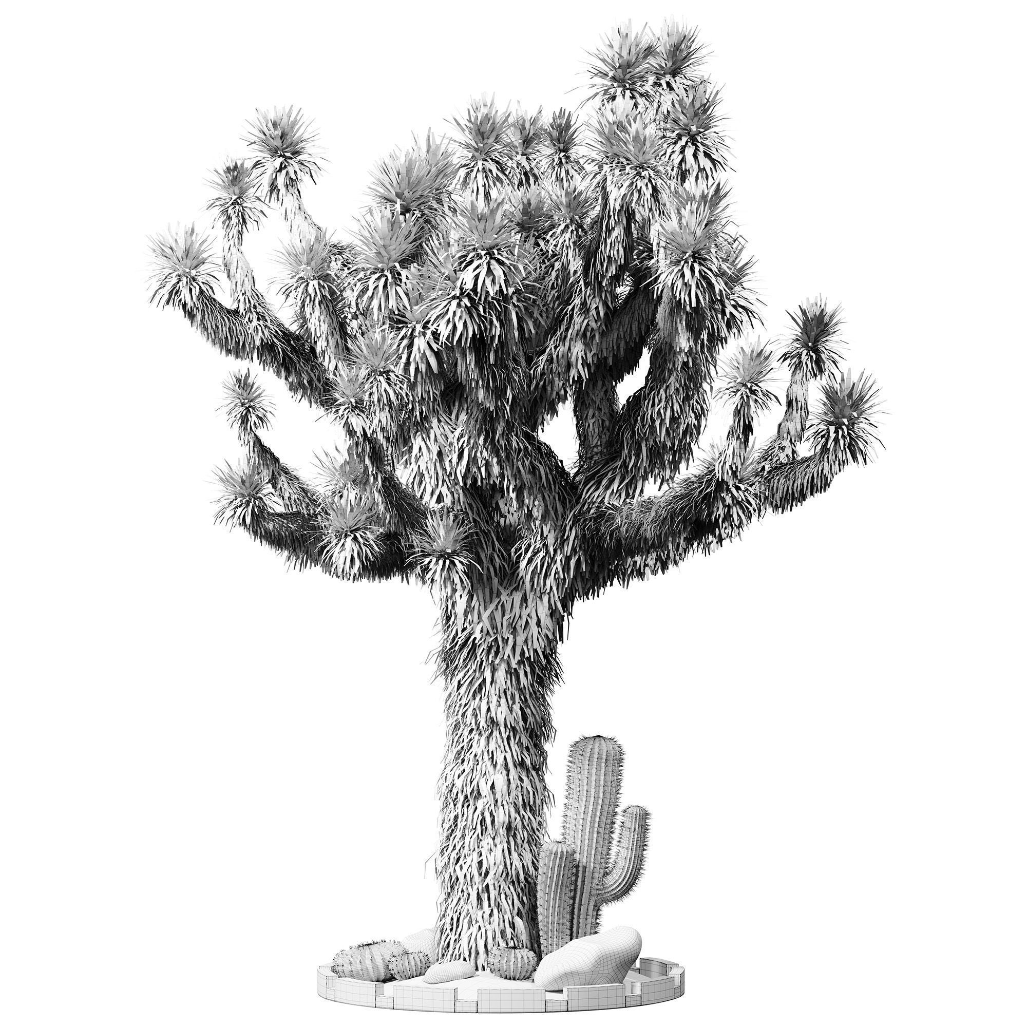 Outdoor Plants 14 - Joshua And Cactus 3D model_3