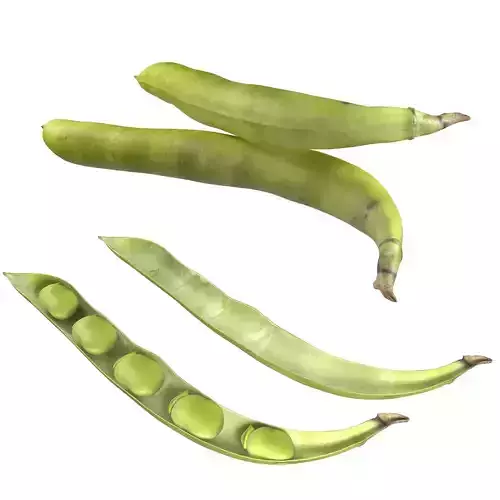 Broad bean pod 