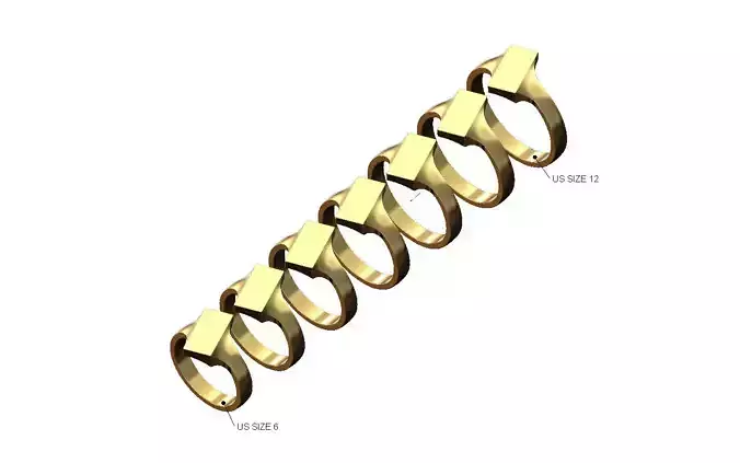 Tilted rectangular 12x6mm signet ring US sizes 6to12 3D print model