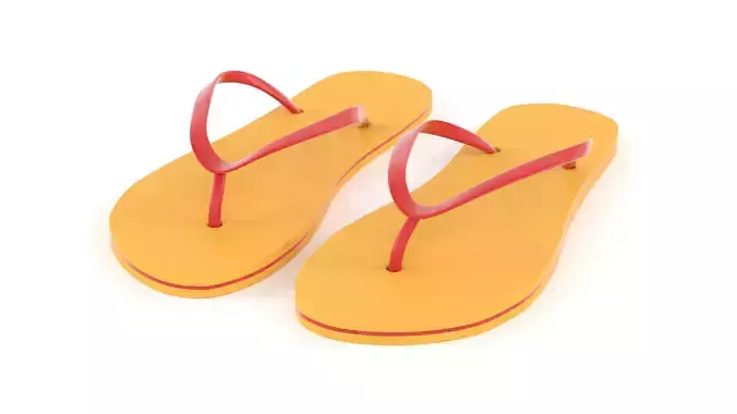 Flip Flops